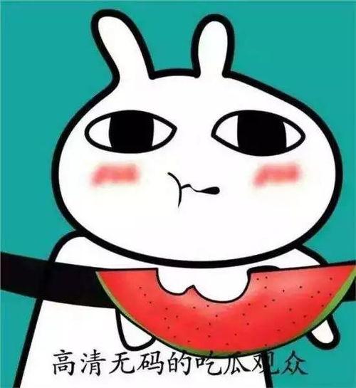 坐等吃瓜表情包图片可爱,坐等吃瓜表情包的可爱魅力