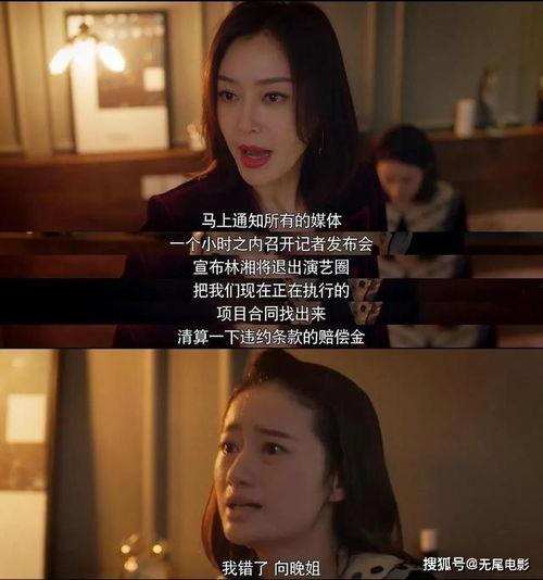 娱乐圈吃瓜系统小说完结,幕后真相大揭秘